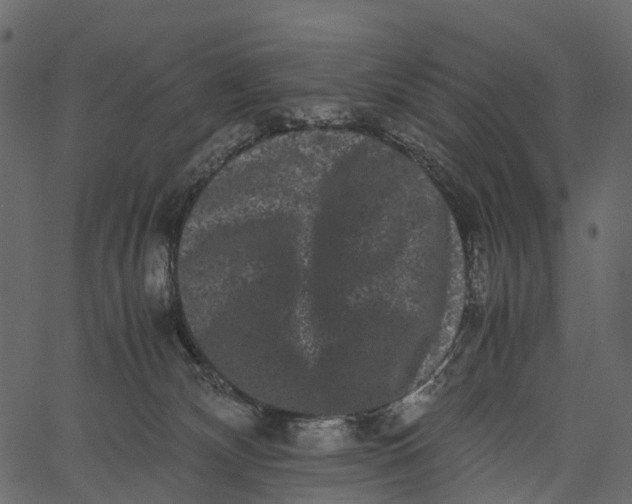 X0000062630132200601111110