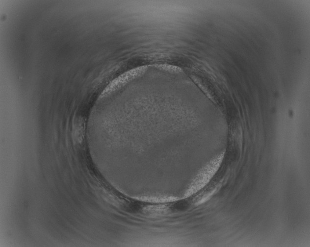 X0000062630133200601111110