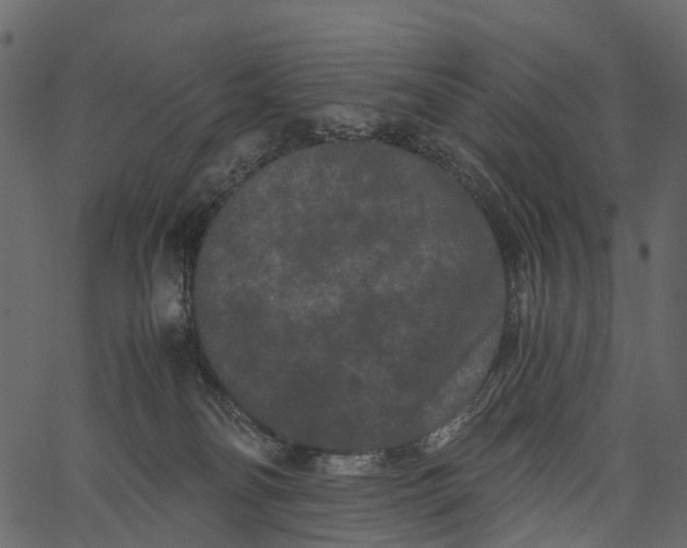 X0000062630134200601111110