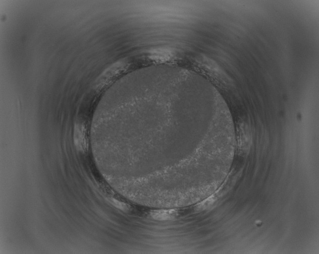 X0000062630136200601111109