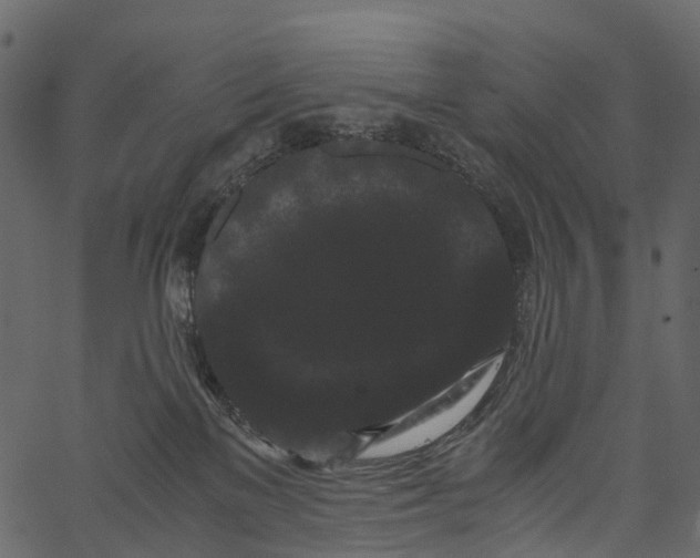 X0000062630137200601111109