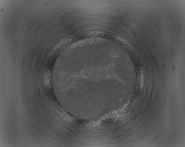 X0000062630138200601111109