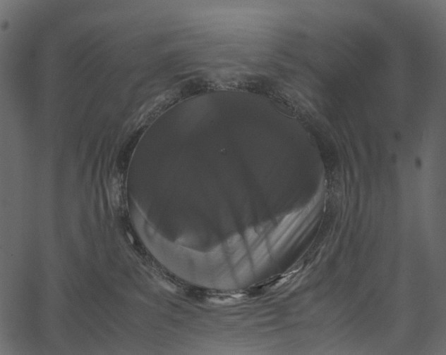 X0000062630139200601111109