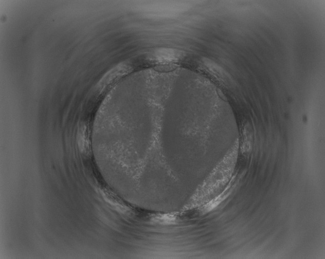 X0000062630140200601111109