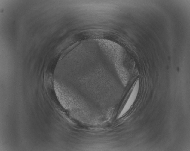 X0000062630141200601111109