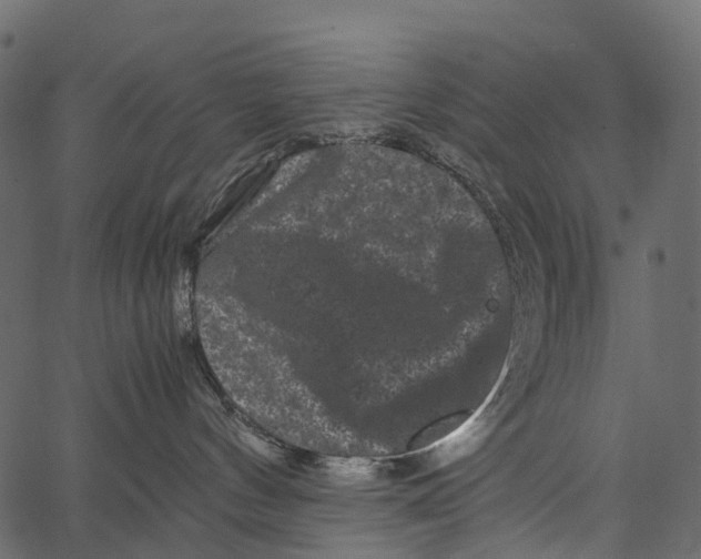 X0000062630144200601111109