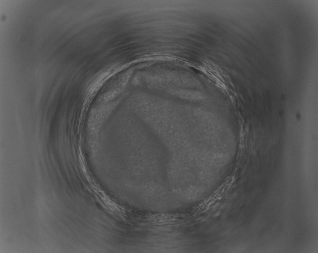 X0000062630145200601111109