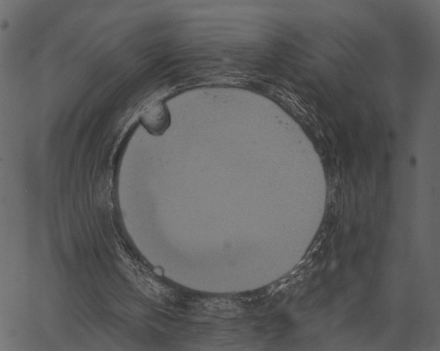 X0000062630146200601111109