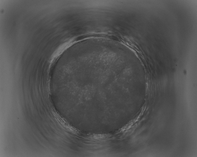 X0000062630149200601111109