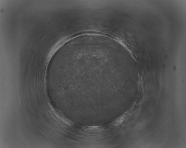 X0000062630151200601111109