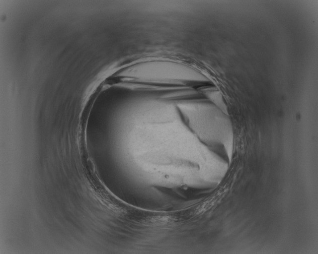 X0000062630152200601111109