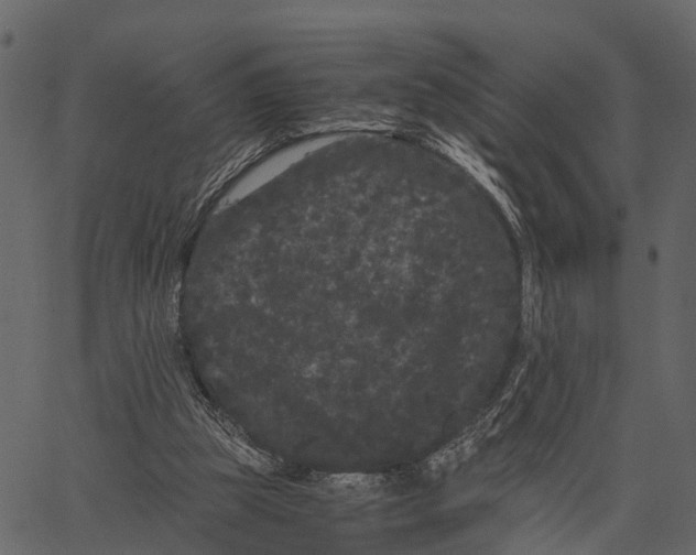 X0000062630153200601111109