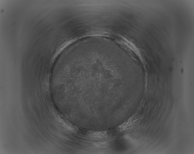 X0000062630155200601111109