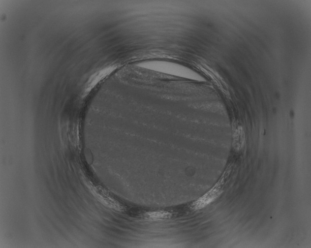 X0000062630158200601111109