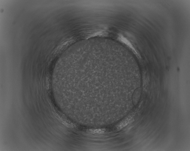 X0000062630161200601111109