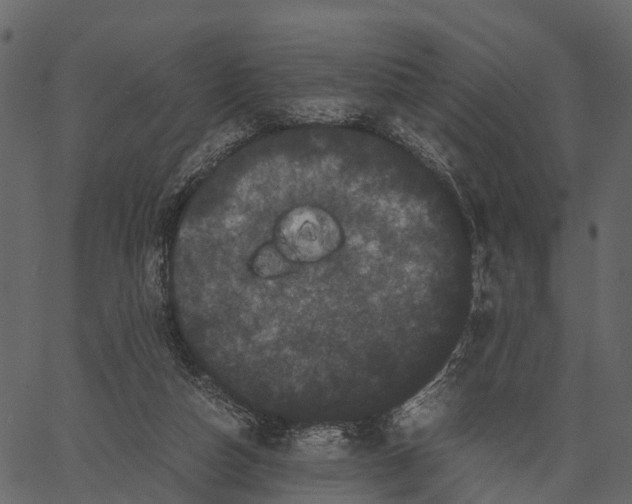 X0000062630162200601111109