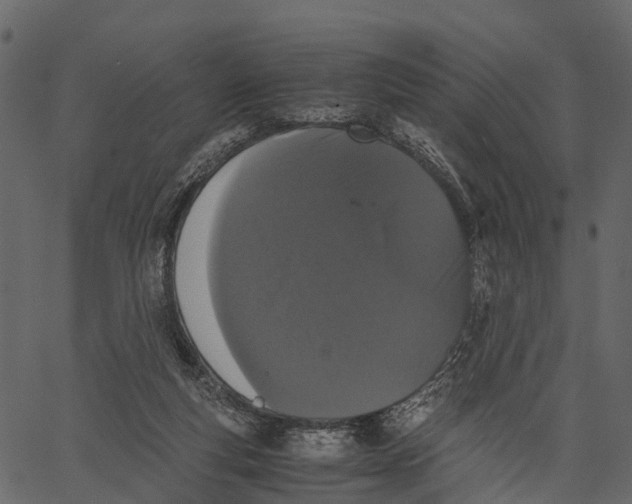 X0000062630163200601111109