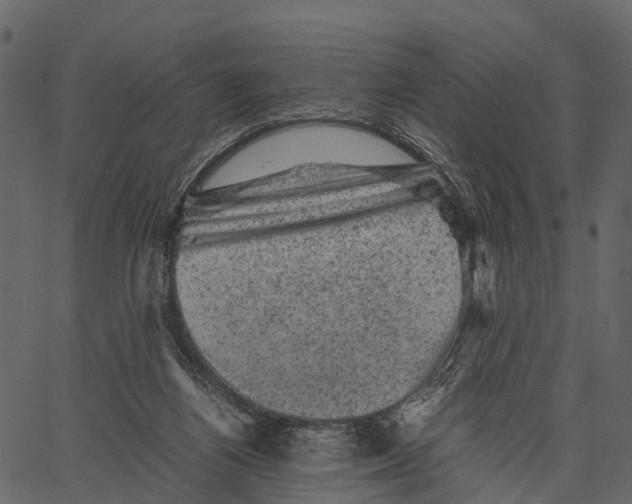 X0000062630164200601111109