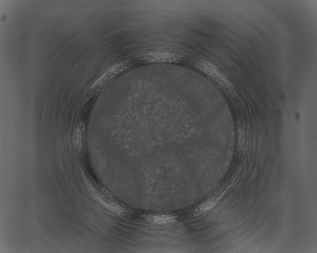 X0000062630165200601111109