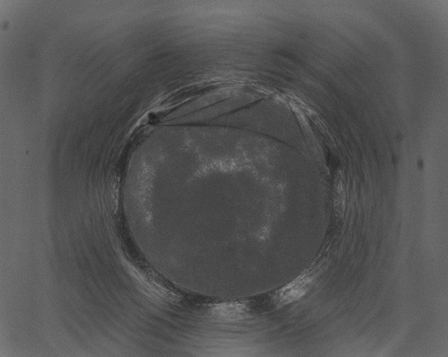 X0000062630168200601111109