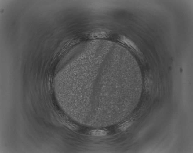 X0000062630169200601111109