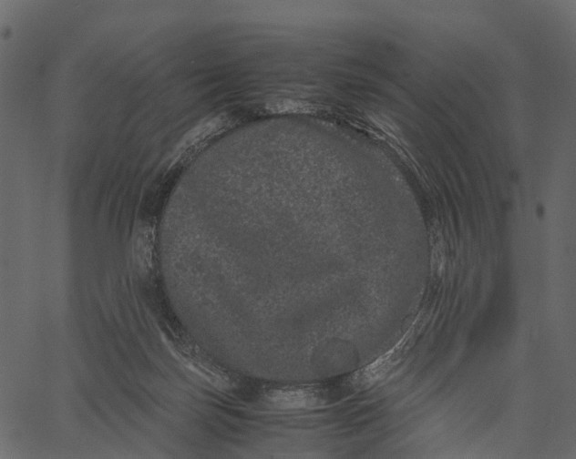 X0000062630171200601111109