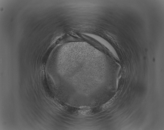 X0000062630172200601111109