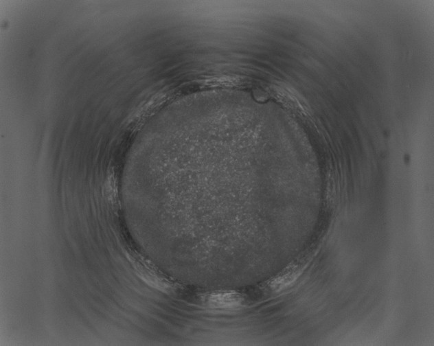 X0000062630173200601111109