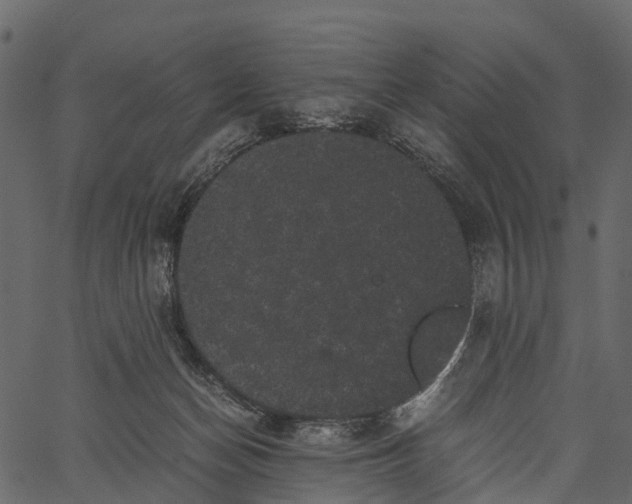 X0000062630174200601111109