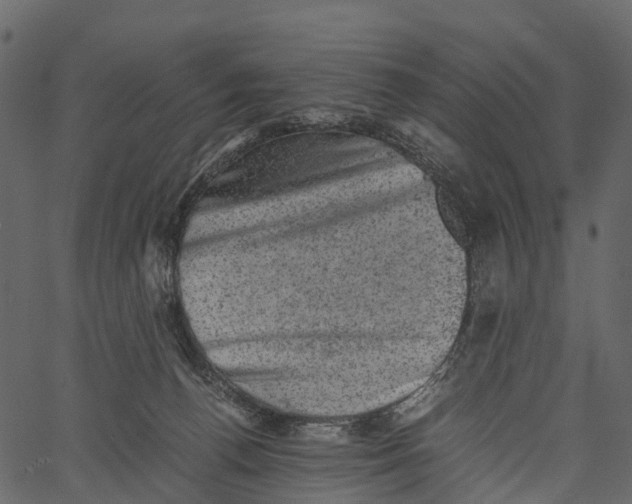 X0000062630176200601111109