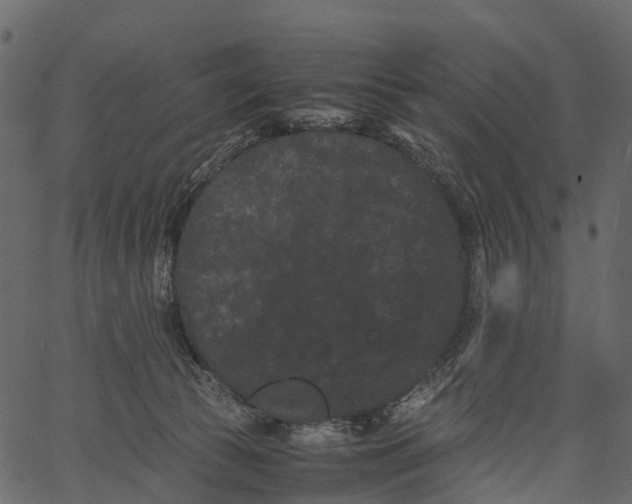 X0000062630177200601111109