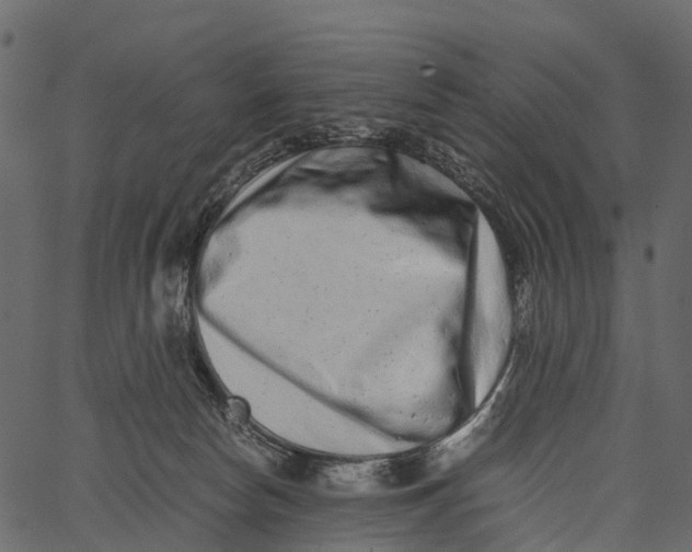 X0000062630178200601111109