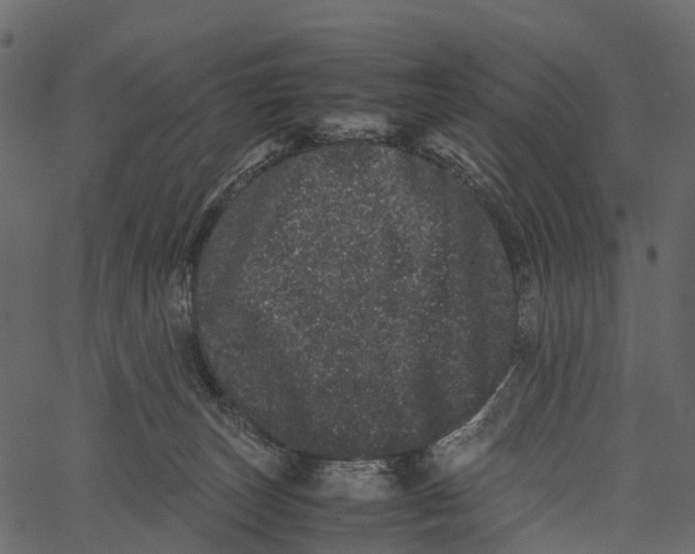 X0000062630179200601111109