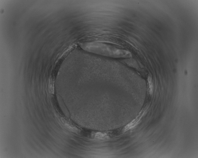 X0000062630180200601111109