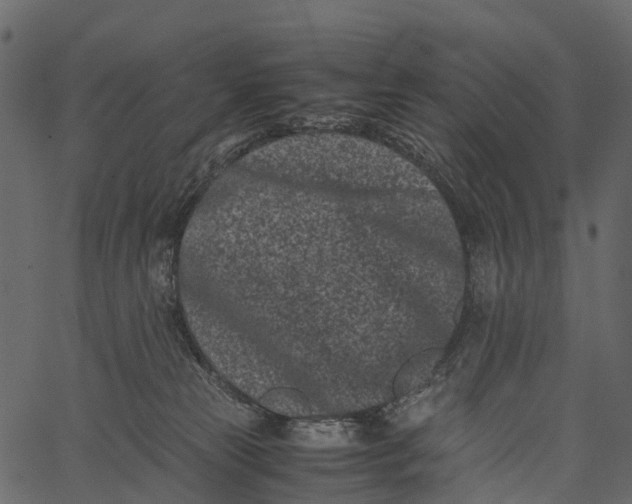 X0000062630181200601111109