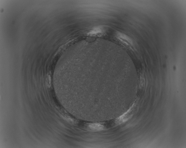 X0000062630183200601111109