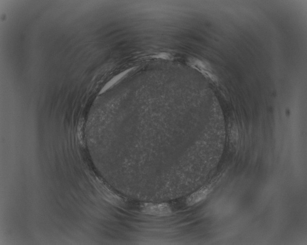 X0000062630185200601111109