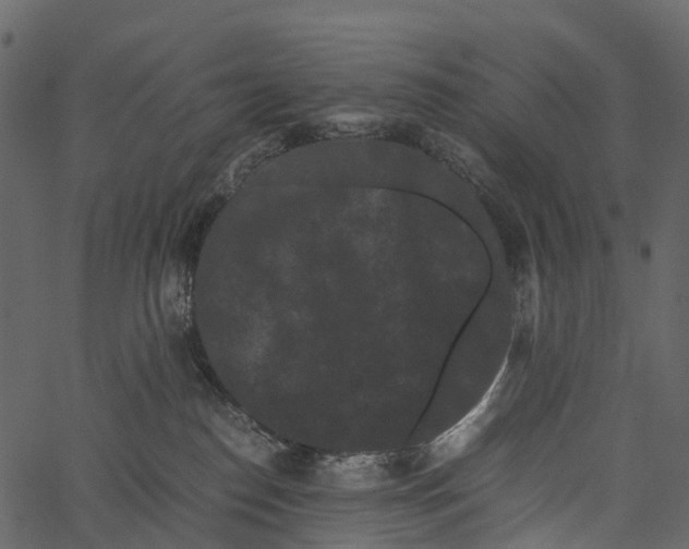 X0000062630186200601111109