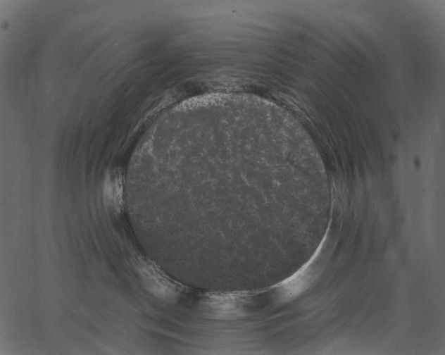 X0000062630190200601111109