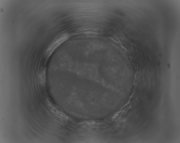 X0000062630194200601111109