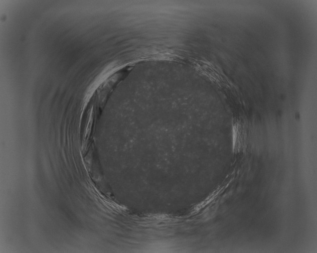 X0000062630195200601111109