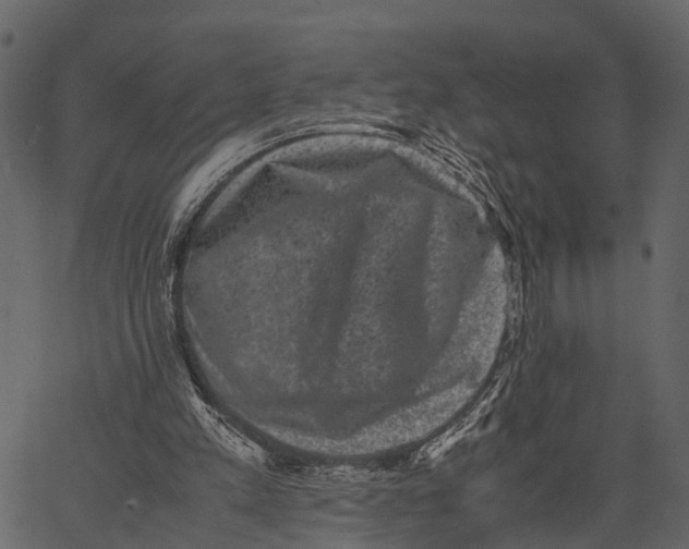 X0000062630197200601111108