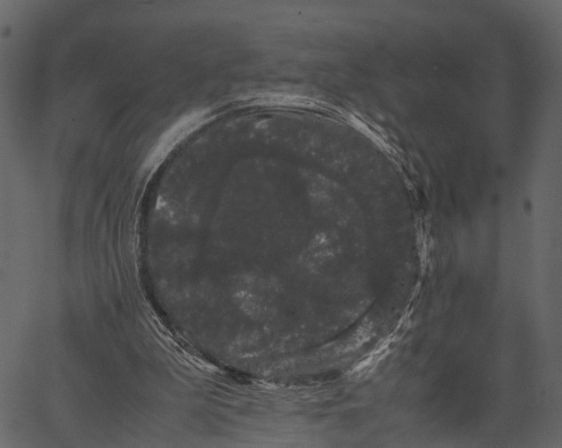 X0000062630199200601111108