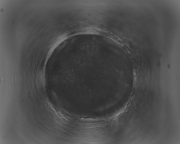 X0000062630200200601111108