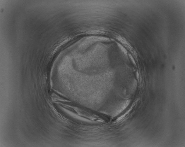 X0000062630201200601111108