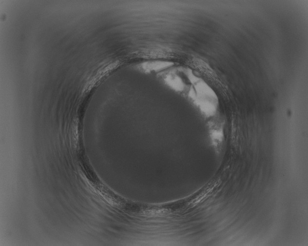 X0000062630202200601111108