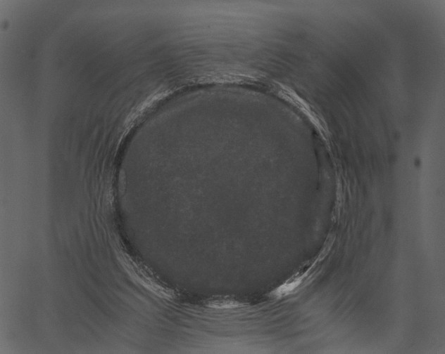 X0000062630203200601111108