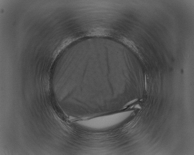 X0000062630204200601111108