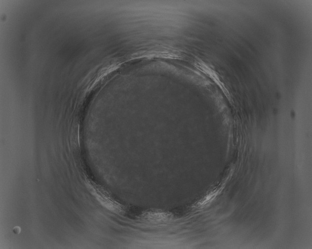 X0000062630205200601111108