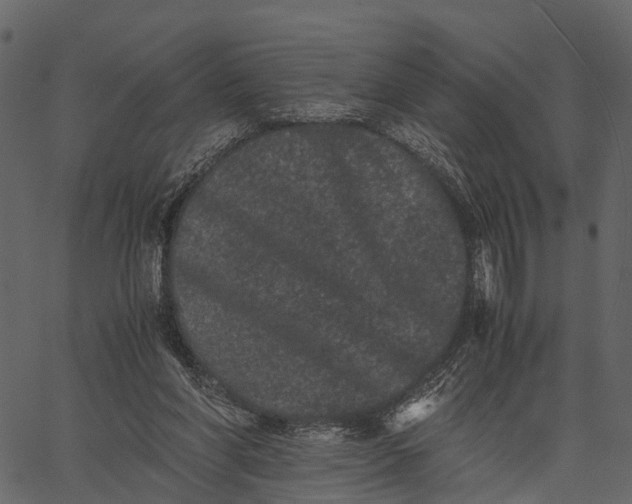 X0000062630206200601111108